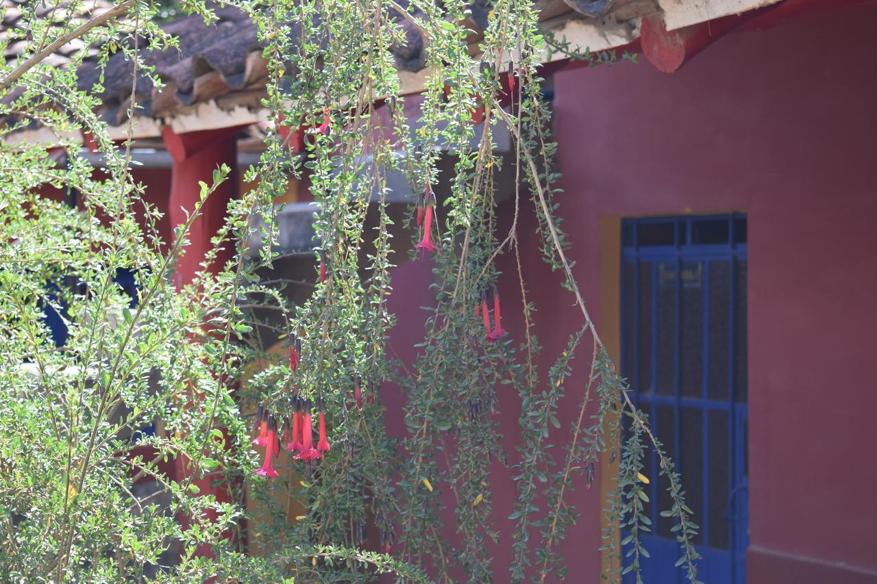 Хостел La Casita De Mi Abuela Mancos Екстер'єр фото